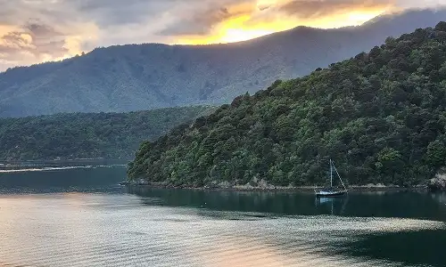Picton