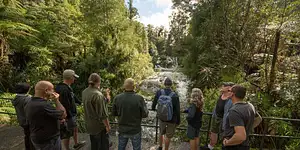 Auckland Best Of Both Worlds