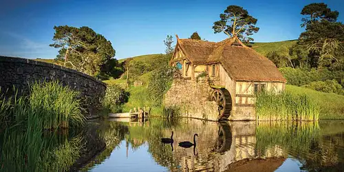 Rotorua to Auckland Via Hobbiton