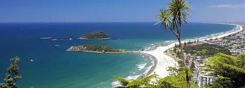 Tauranga