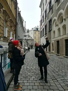 Vienna, City of Many Pasts: guided city tour with a friendly historian