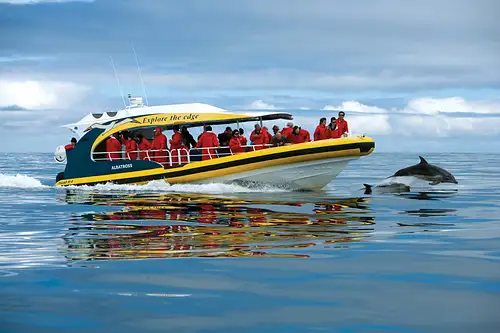 TASMAN ISLAND 3 HOUR CRUISE FROM PORT ARTHUR