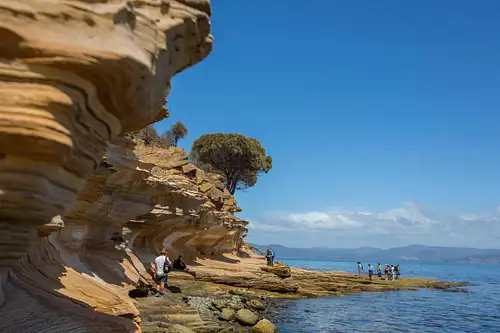 Maria Island Day Tour from Hobart with wombats in Tasmania