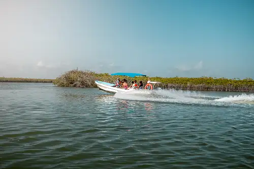 Sian Ka'an Discovery | Half Day Tour