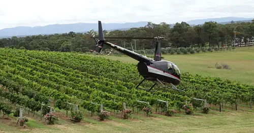 Hunter Valley Scenic Helicopter Flight Special