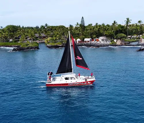 Afternoon Ali'i Snorkel Adventure | From Kona
