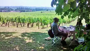 Food and Wine Escape in Saint Emilion | From Bordeaux