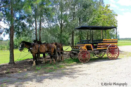 Pokolbin wine tour deals