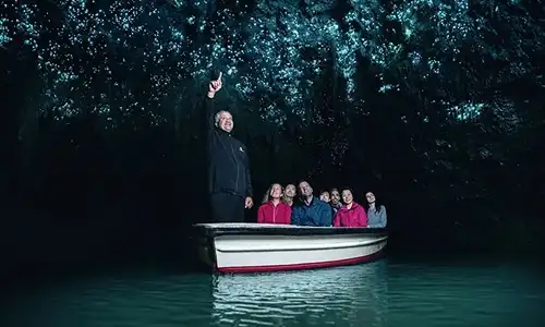 Waitomo Caves