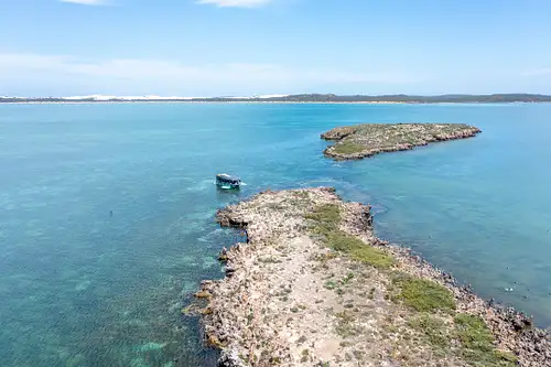 Coffin Bay oysters